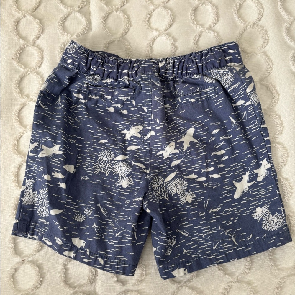 Carter's Blue and White Kids Shorts - Picture 5 of 5